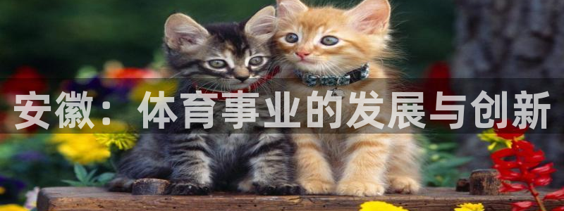 bbin视讯游戏官网