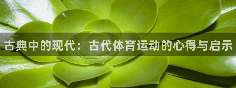 bbin视讯游戏平台
