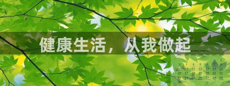 bbin视讯下