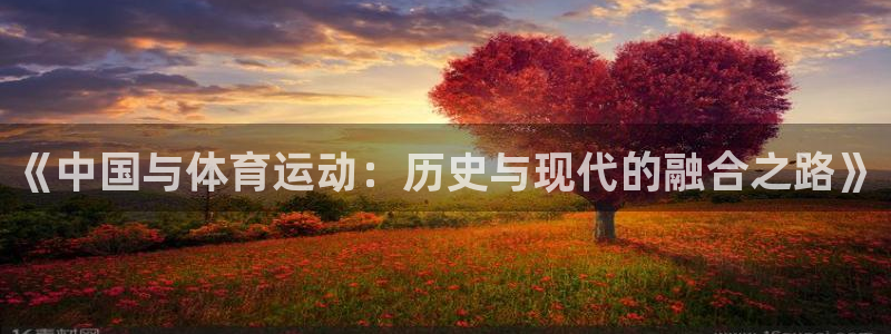 bbin视讯下
