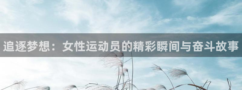 bbin视讯游戏平台