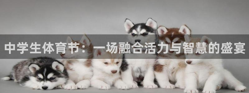 bbin视讯