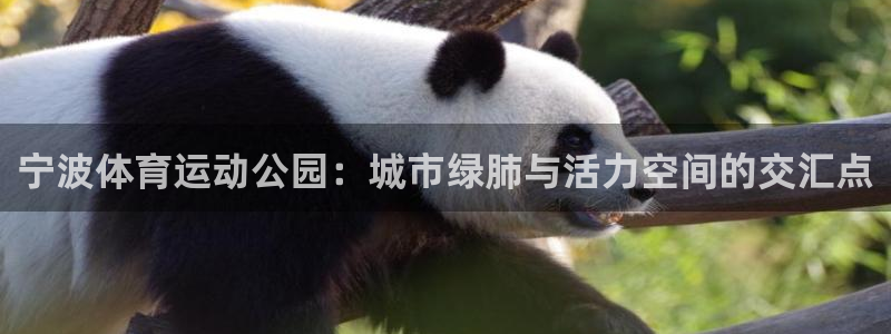 bbin视讯游戏官网